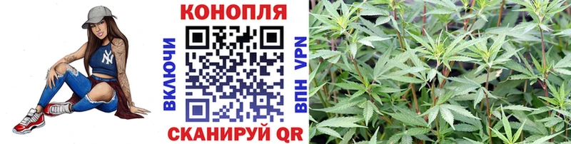 Каннабис ГИДРОПОН  наркота  Павлово 